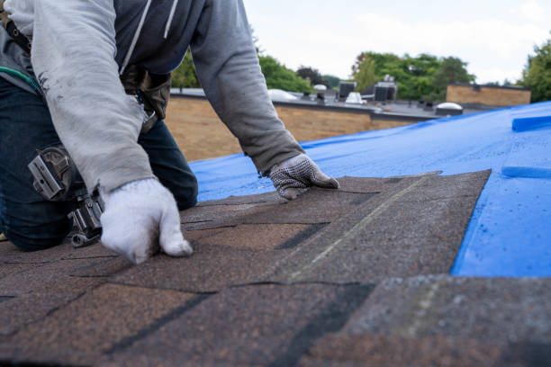 Best Metal Roofing Contractor  in Albany, LA